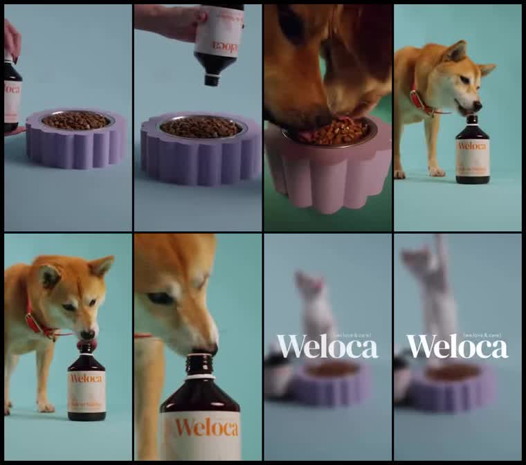 Preview Weloca