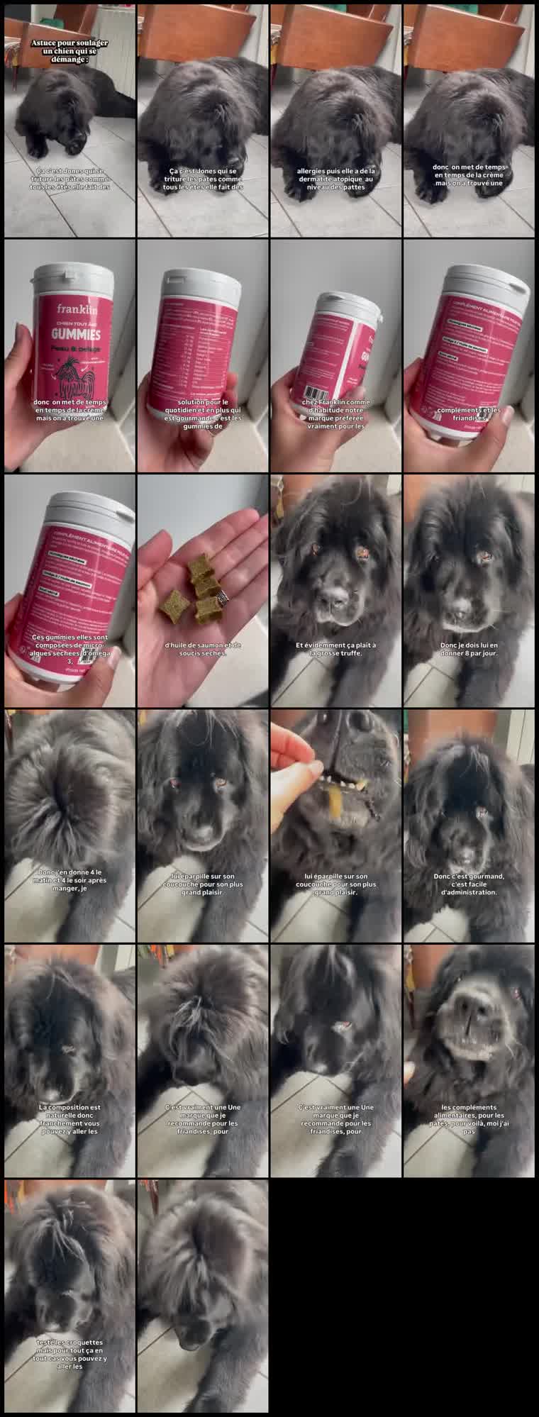Preview Franklin Pet Food
