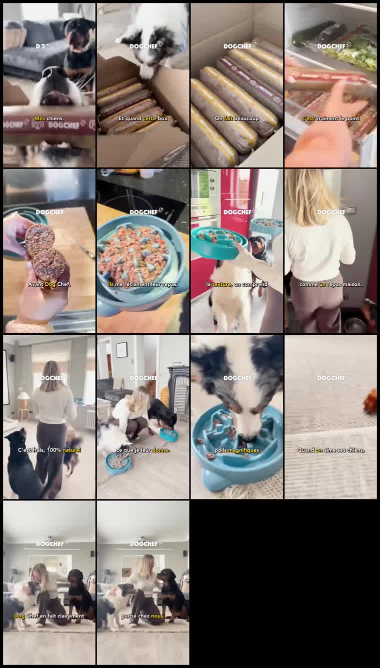 Preview Dog Chef