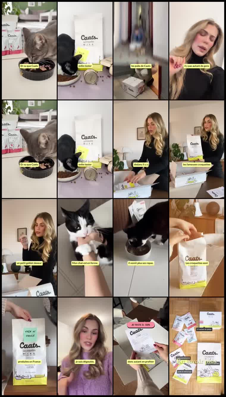 Preview Caats