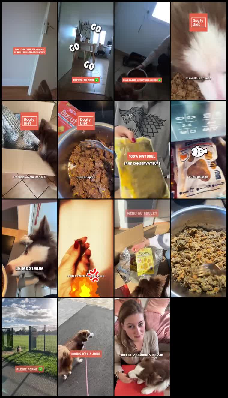 Preview Dogfy Diet France