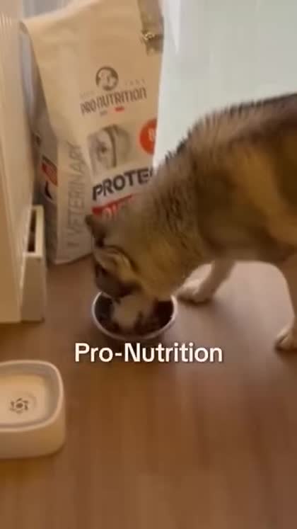 Aperçu Pro-Nutrition Boutique