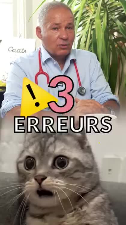 Aperçu Caats