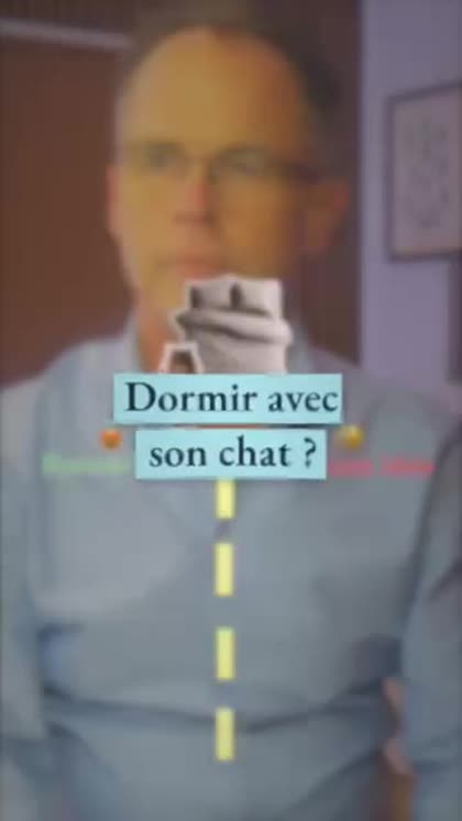 Aperçu Bons plans pour chats