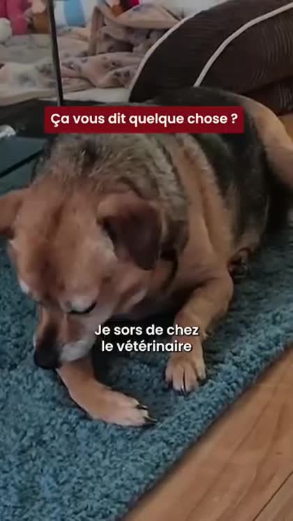 Aperçu Réglo