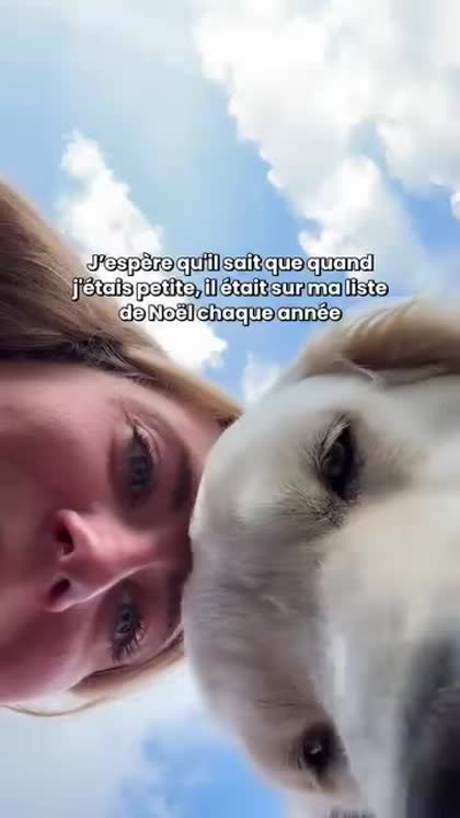 Aperçu Dog Chef