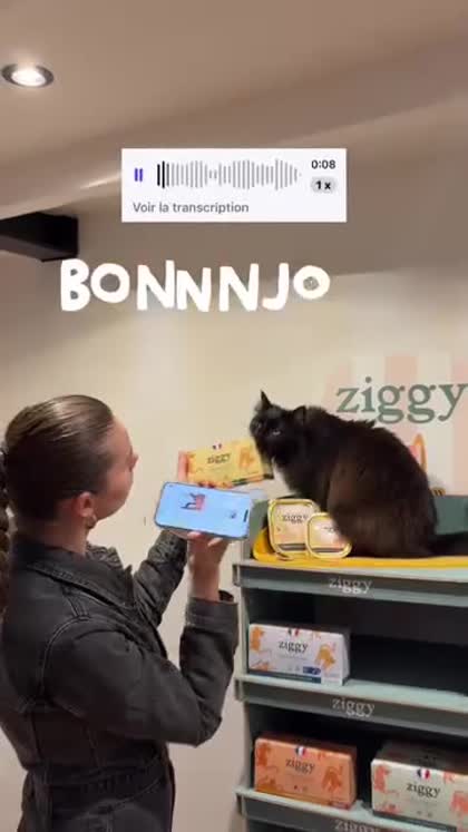 Aperçu Ziggy